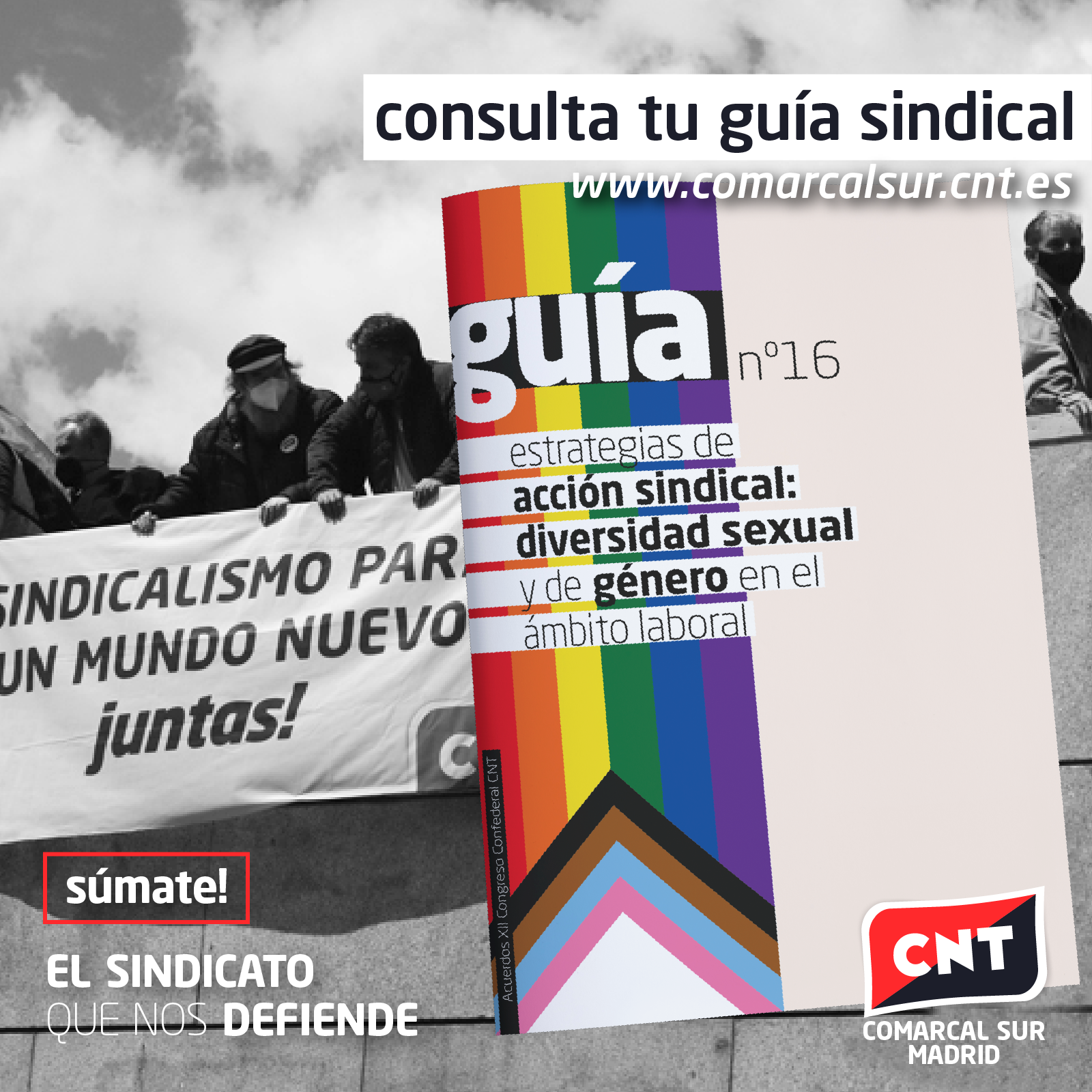 Nueva Guía Para La Estrategia Sindical En Derechos Lgtbi Cnt