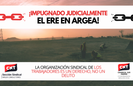 La sección sindical de Argea Consultores y Punto de Encuentro de CNT impugna el ERE, llevando a juicio a las empresas